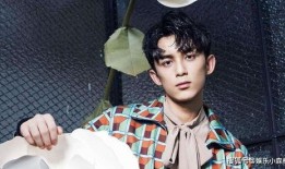 热巴吴磊最新爆料消息,揭秘幕后故事与精彩瞬间