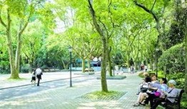 中山公园最新爆料新闻,神秘事件引发公众热议