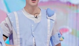 白鹿王鹤棣最新爆料,幕后故事与心路历程